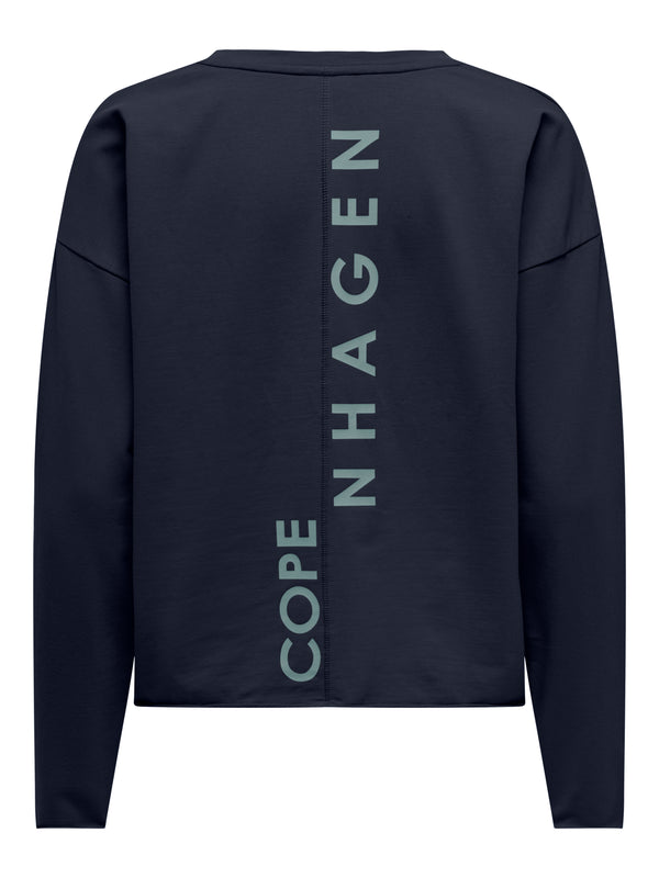 JDYGAMMA L/S O-NECK SWEAT JRS DIA