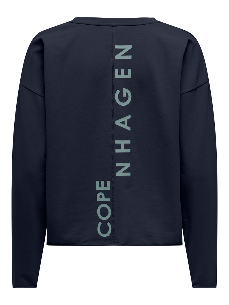JDYGAMMA L/S O-NECK SWEAT JRS DIA