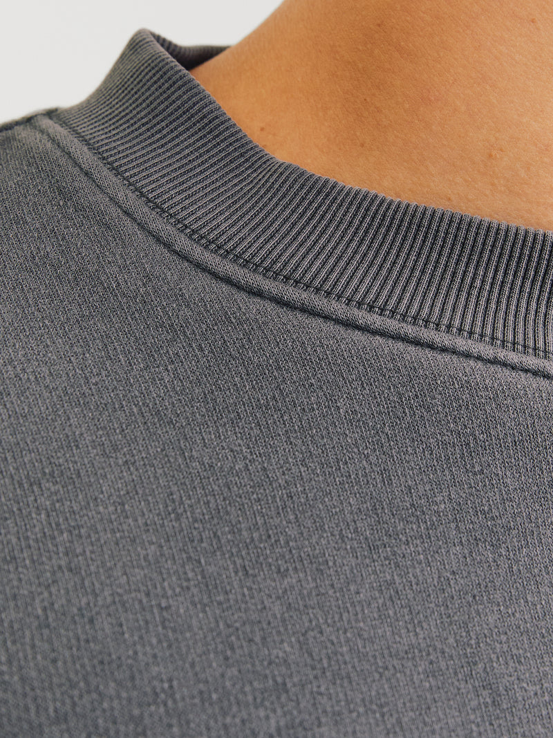 JORRIDGEWOOD WASH SWEAT CREW NECK
