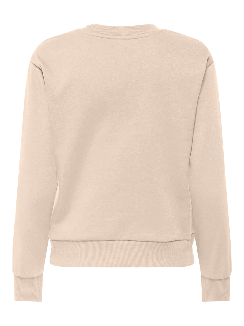 JDYPARIS L/S EMB SWEAT JRS NOOS