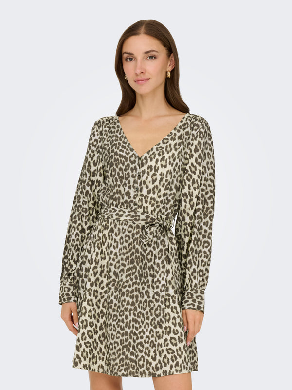 JDYBEATRICE LIFE L/S DRESS WVN