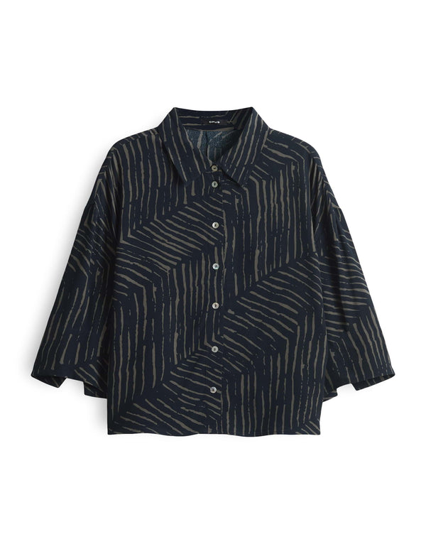 Fiana palm leaves