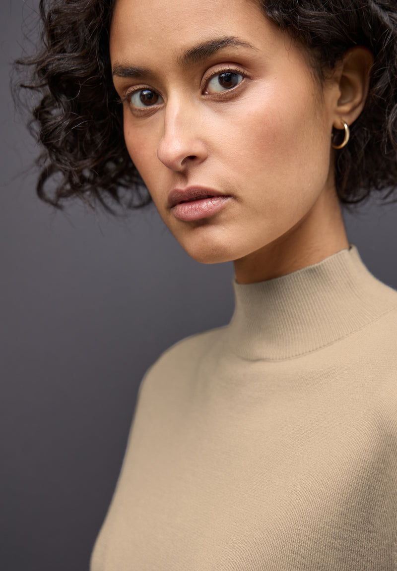 Pullover mit Turtleneck