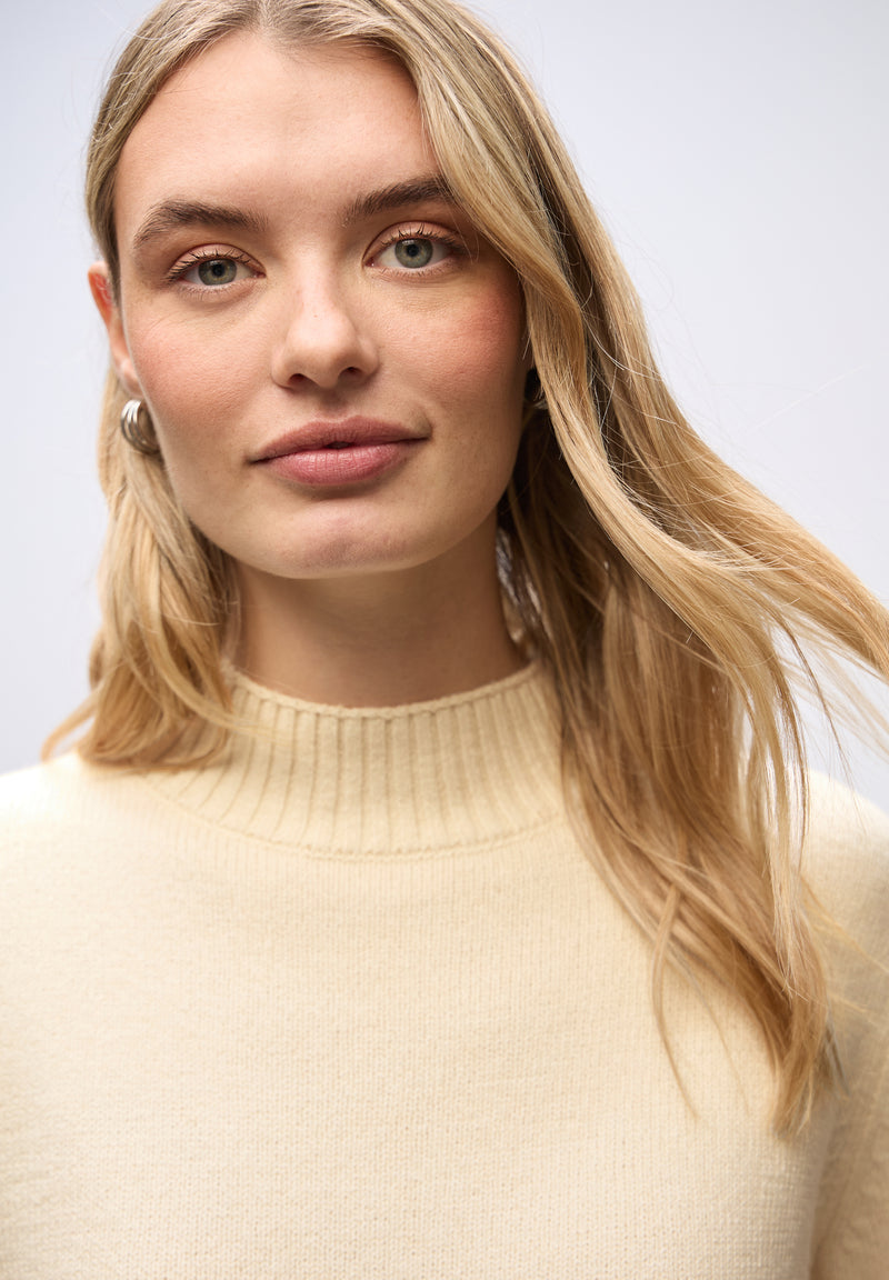 Basic Turtleneck Pullover